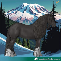 Horse Color:Smoky Black  and Smoky Black 