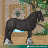 Horse Color:Smoky Black  and Smoky Black 