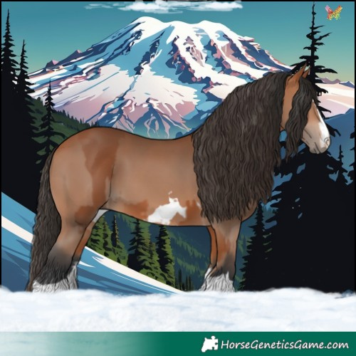 Horse Color:Bay and Bay