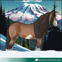 Horse Color:Bay and Bay