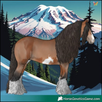Horse Color:Bay and Bay