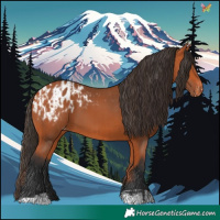 Horse Color:Bay and Bay Blanket
