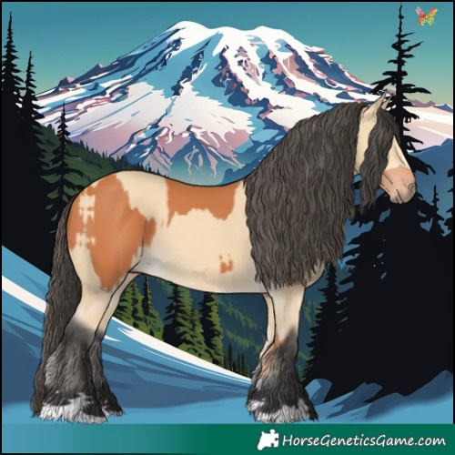 Horse Color:Bay and Buckskin
