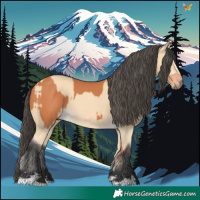 Horse Color:Bay  and Buckskin 
