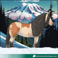 Horse Color:Bay  and Buckskin 
