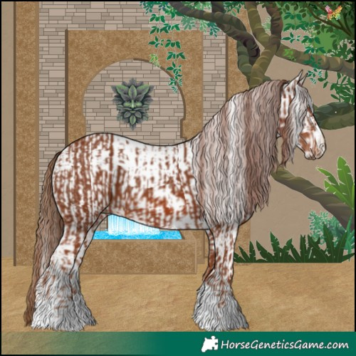 Horse Color:Chestnut  and White Spotted Chestnut 