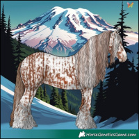 Horse Color:Chestnut  and White Spotted Chestnut 