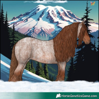 Horse Color:Red Roan  and Red Roan 