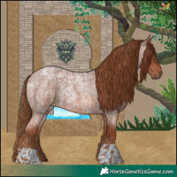 Horse Color:Red Roan and Red Roan