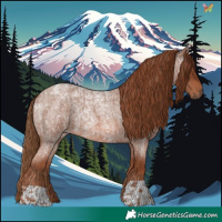 Horse Color:Red Roan  and Red Roan 