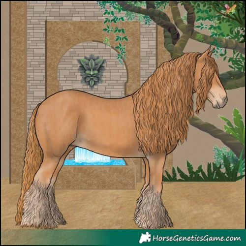 Horse Color:Chestnut and Chestnut