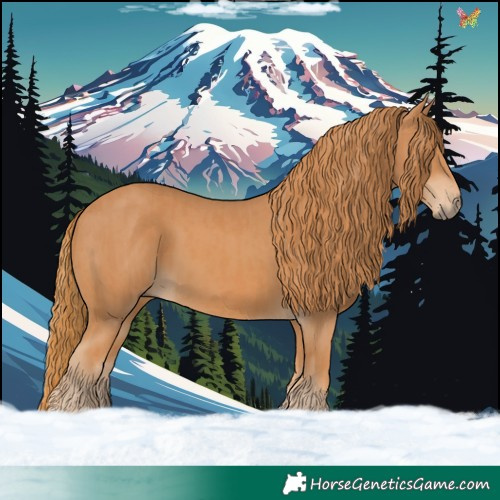 Horse Color:Chestnut and Chestnut