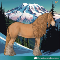 Horse Color:Chestnut  and Chestnut 