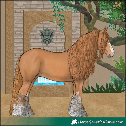 Horse Color:Chestnut  and Chestnut 