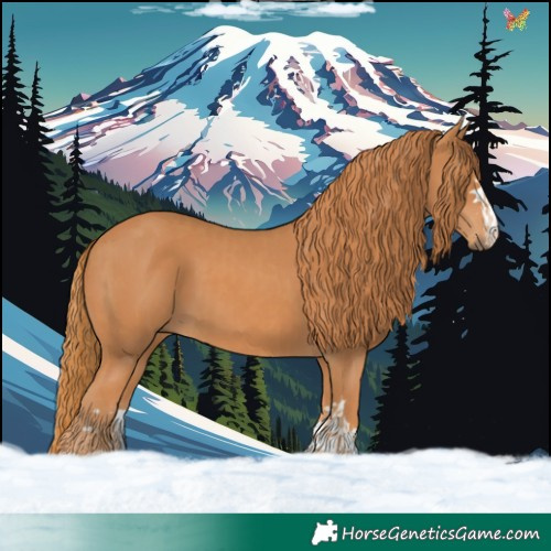 Horse Color:Chestnut  and Chestnut 