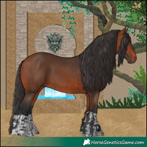 Horse Color:Bay  and Bay 