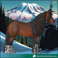 Horse Color:Bay  and Bay 