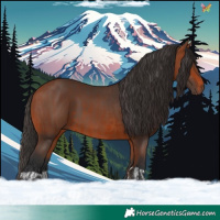 Horse Color:Bay  and Bay 