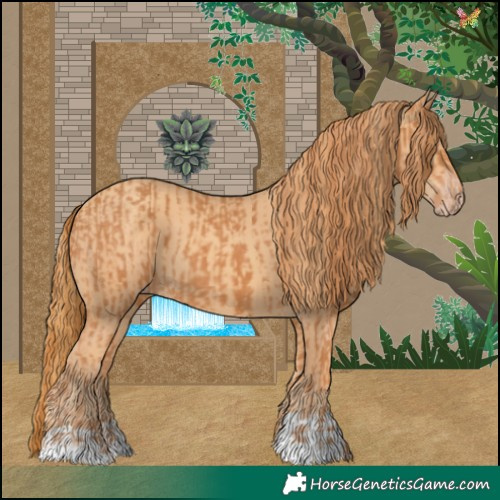 Horse Color:Chestnut  and Gold Champagne 