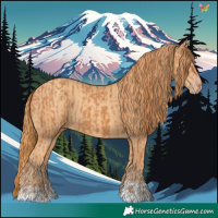 Horse Color:Chestnut  and Gold Champagne 