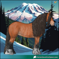 Horse Color:Bay and Bay Rabicano
