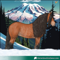 Horse Color:Bay and Bay Rabicano
