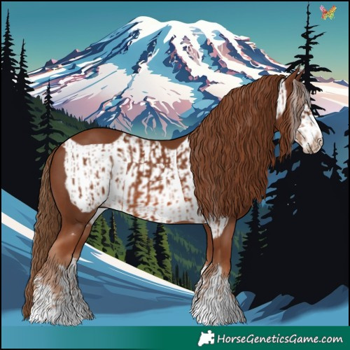 Horse Color:Chestnut  and Chestnut Frame 