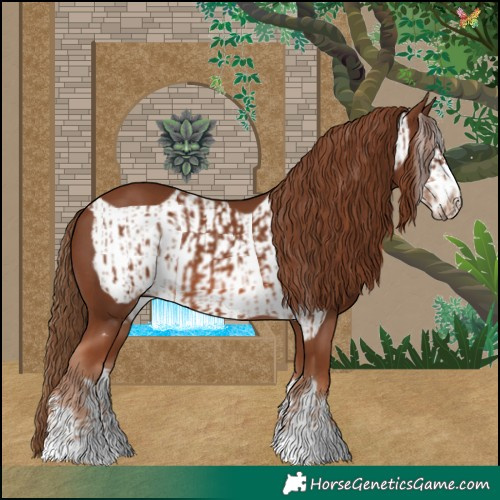 Horse Color:Chestnut  and Chestnut Frame 