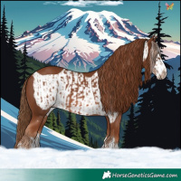 Horse Color:Chestnut  and Chestnut Frame 
