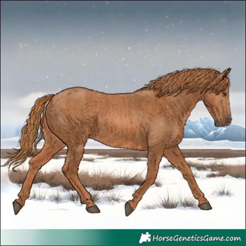 Horse Color:Chestnut  and Chestnut Frame 