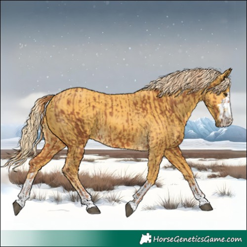 Horse Color:Chestnut  and Palomino 