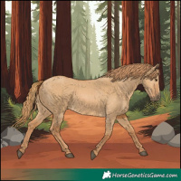 Horse Color:Red Dun 