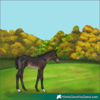 Horse Color:Brown 