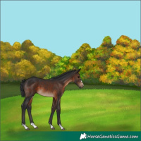 Horse Color:Brown 
