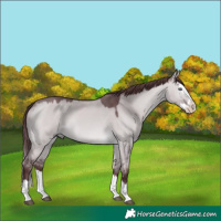 Horse Color:Chocolate Brown Chinchilla Dun Splash