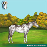 Horse Color:Platinum White Spotted Chocolate Brown Dun 