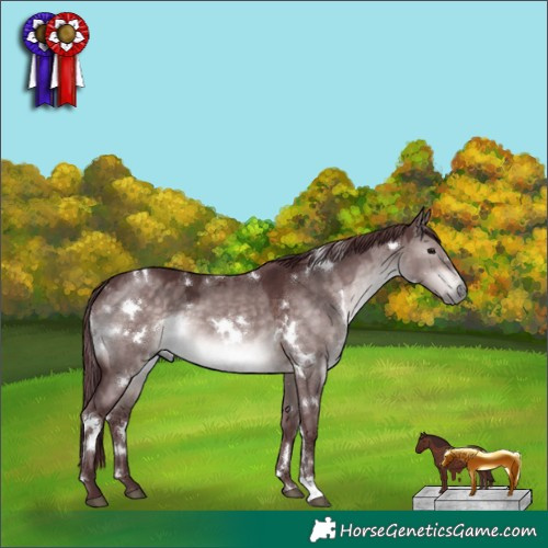 Horse Color:Platinum White Spotted Chocolate Brown Dun 