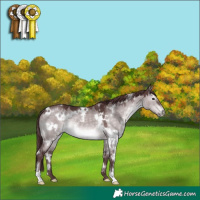 Horse Color:Platinum White Spotted Chocolate Brown Dun 