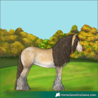 Horse Color:Amber Cream Champagne Mushroom Tobiano 