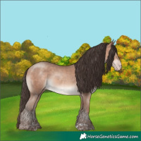 Horse Color:Amber Champagne Mushroom Tobiano 