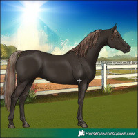 Horse Color:Liver Chestnut  and Liver Chestnut 