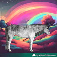 Horse Color:White Spotted Black  and White Spotted Smoky Black 