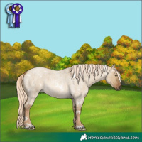 Horse Color:White Spotted Chocolate Palomino Roan Dun 