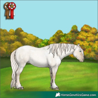 Horse Color:White Spotted Chocolate Palomino Roan Pearl Dun 