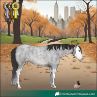 Horse Color:Smoky Blue Roan Splash 