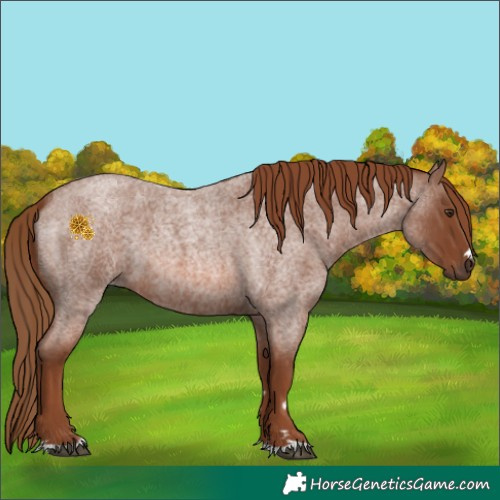 Horse Color:Red Roan 