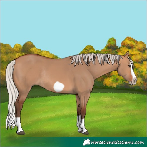 Horse Color:Silver Bay Dun Splash Frame Rabicano