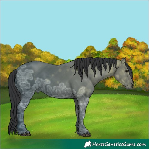 Horse Color:Black Ice 