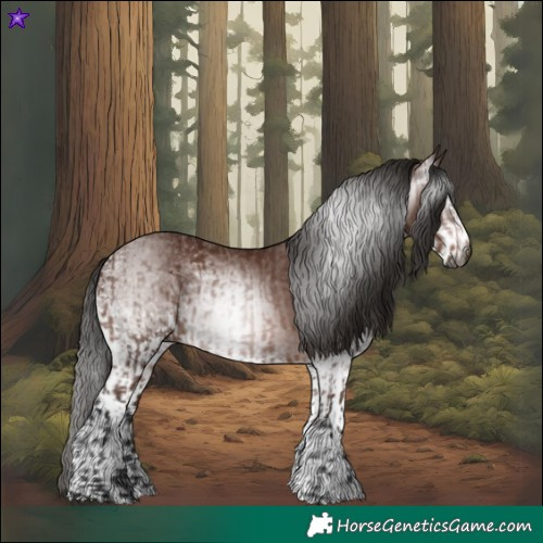 Horse Color:Gray Bay  and Gray White Spotted Bay 