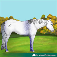 Horse Color:ERROR: UNKNOWN ANOMALY